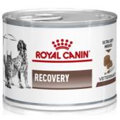 Royal Canin Recovery полнорационный диетический корм для кошек и собак, рекомендуемый как поддерживающее и восстанавливающее питание в период выздоровления или при липидозе печени у кошек. 195гр
